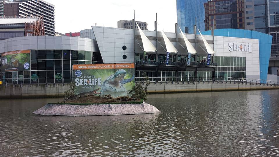 Melbourne aquarium sealife